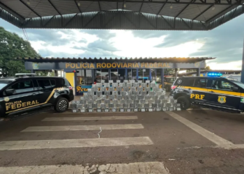 Polícia apreende 685 kg de cocaína em carreta carregada com caroço de algodão em MT