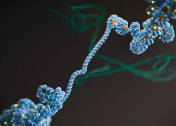 A descoberta sobre ‘matéria escura’ que pode mudar o tratamento do câncer