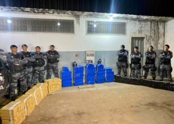 PM apreende 768 tabletes de maconha e prende traficante em VG