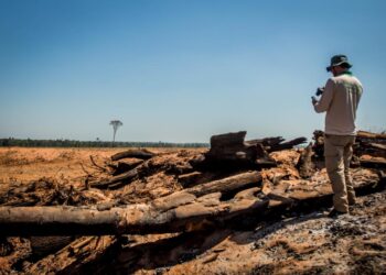 Mato Grosso aplicou R$ 1,2 bilhão em multa por crimes ambientais em 2022