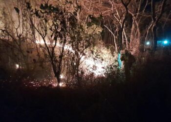 Bombeiros militares combatem incêndio em vegetação em loteamento em Santo Antônio de Leverger