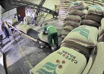 Exportações de café não torrado já passam de R$ 6 bilhões em abril