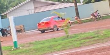 Polícias de MT e RO prendem suspeito de tentativa de latrocínio