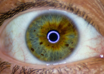 Novo microchip permite que pacientes cegos voltem a ler