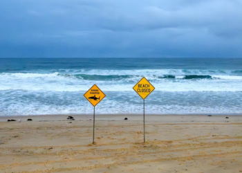 Menino de 12 anos mordido por tubarão morre na Austrália