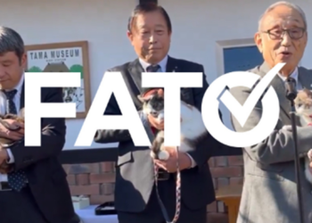 É #FATO: Gatas são nomeadas funcionárias oficiais de estação de trem no Japão; veja vídeo