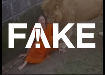 É #FAKE vídeo de leão cheirando mulher que teria caído em jaula na Índia; cena foi criada com inteligência artificial
