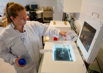 ONU assinala Dia Internacional das Mulheres e Meninas na Ciência