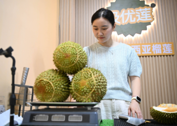 Como a 'fruta mais fedorenta do mundo' encalhou na Malásia após enriquecer fazendeiros