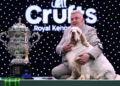 Cão da raça clumber spaniel leva prêmio principal do Crufts