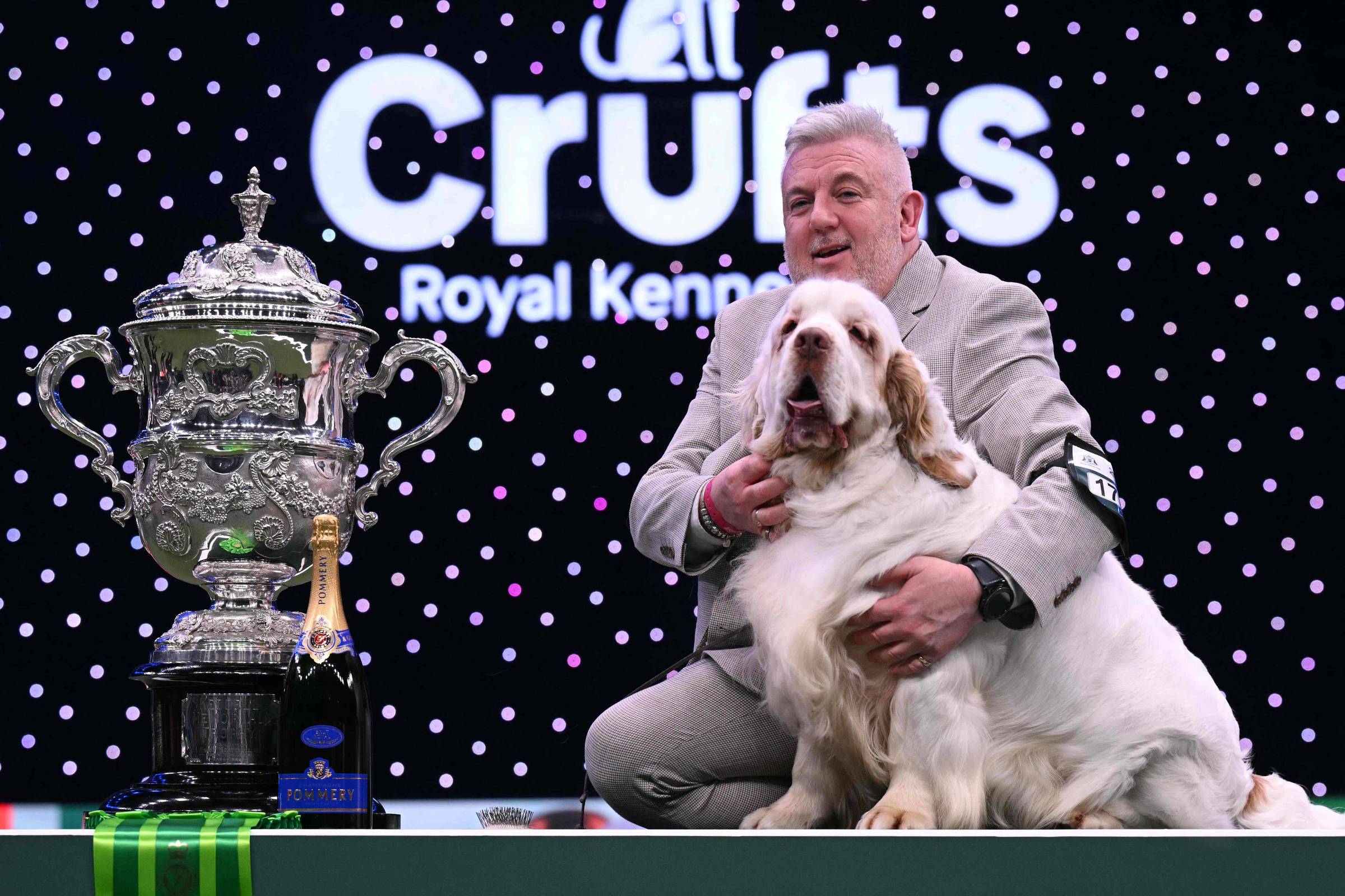 Cão da raça clumber spaniel leva prêmio principal do Crufts