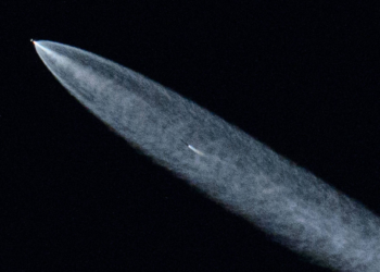 SpaceX quer pôr 1 milhão de satélites na órbita da Terra, que já está ficando lotada