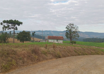 Tudo isso para quê, Daniel Vorcaro?!