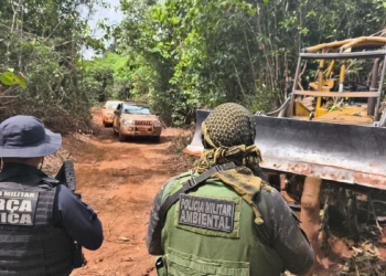 Exploração ilegal de madeira em MT gera multa de R$ 1,5 milhão; PM apreende trator e motosserras