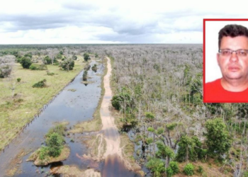 TJMT mantém condenação de produtor rural a 3 anos por crimes ambientais