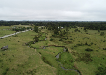 Pesquisa contesta idade de sítio que é referência em debate sobre ocupação das Américas