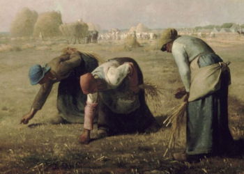 Sua profissão não é sua vocação