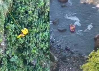 Homem se joga de precipício para fugir de enxame de abelhas; vídeo