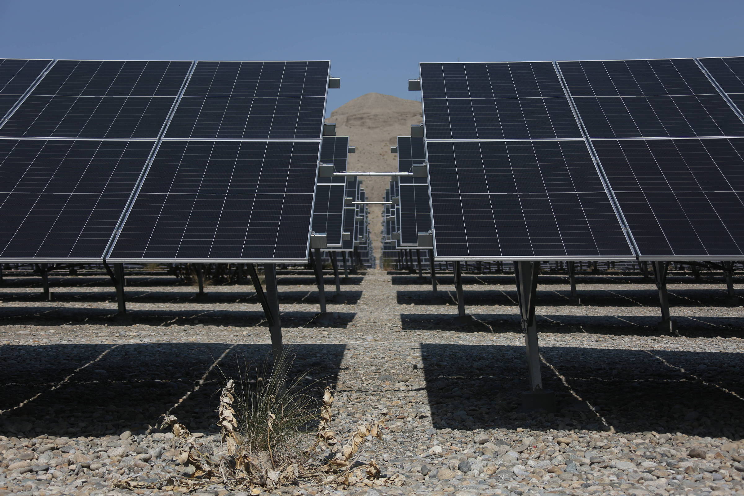 Renováveis cresceram para quase 50% da capacidade global de eletricidade em 2025