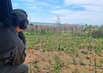 Brasil e Paraguai lançam caçada a plantações de maconha em nova fase de operação histórica