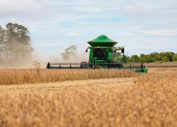 Mato Grosso atinge marca histórica e projeta colheita de 51,56 milhões de toneladas de soja