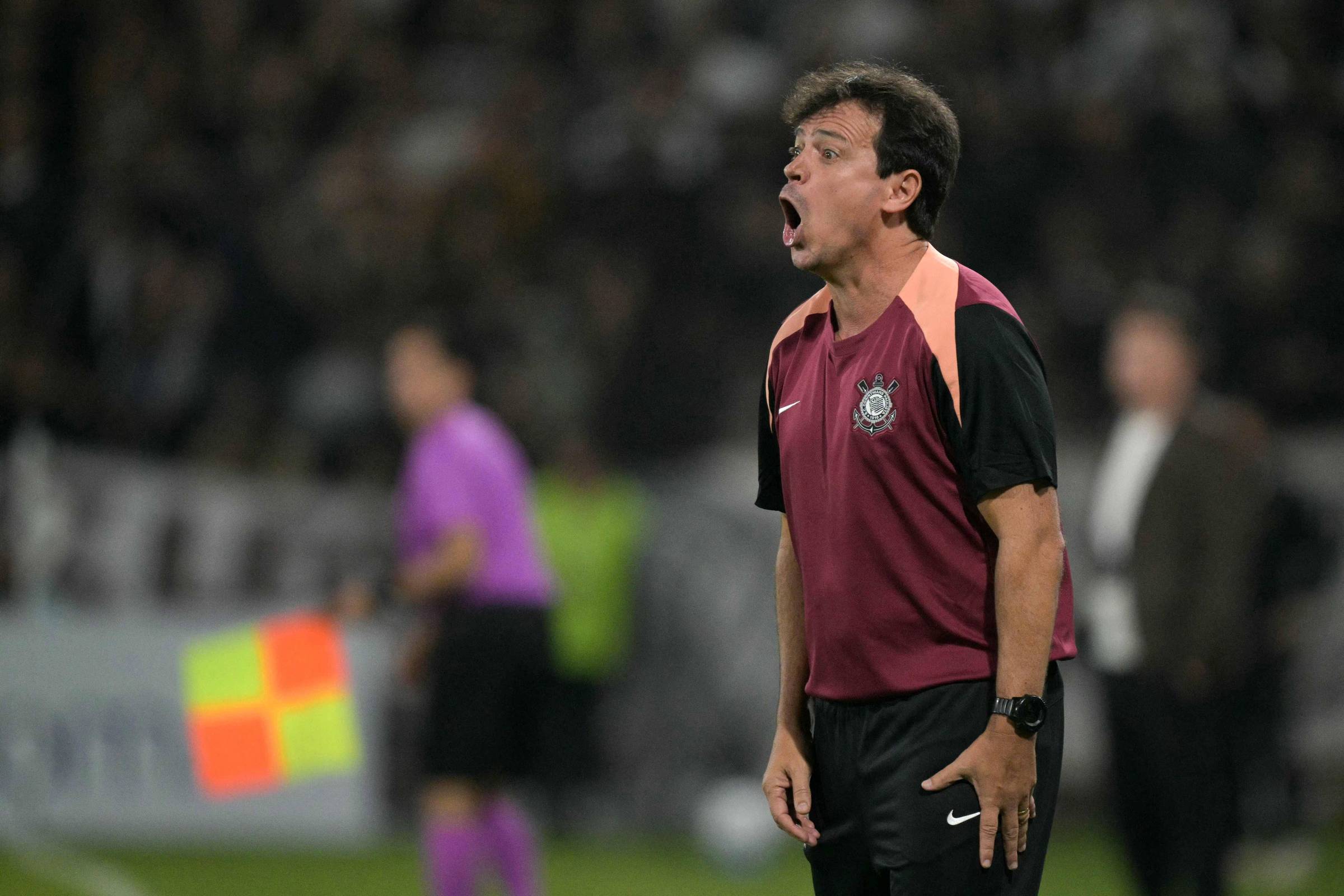Diniz tenta canalizar 'loucura' por sucesso à frente do Corinthians