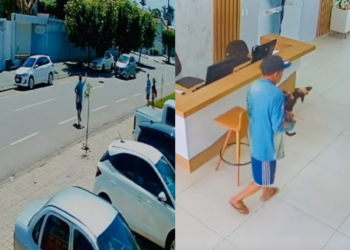 Morador de rua resgata cachorro atropelado e tenta salvar vida de animal; veja vídeo