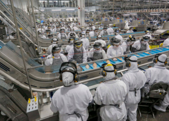 O 13º salário é um truque matemático? 