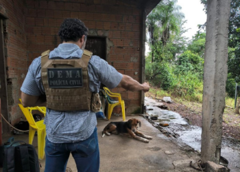 Estuprador monitorado por tornozeleira é flagrado abusando de cachorro em Santo Antônio de Leverger