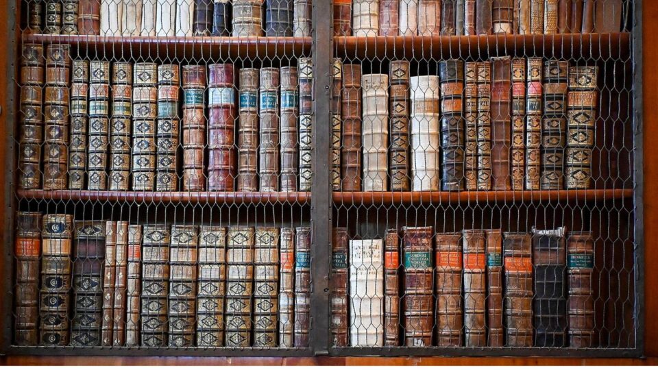 Inteligência artificial: quem é o autor quando todos podem escrever?