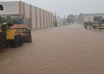 Governo de MT decreta situação de emergência em Primavera do Leste após alagamentos; veja vídeo