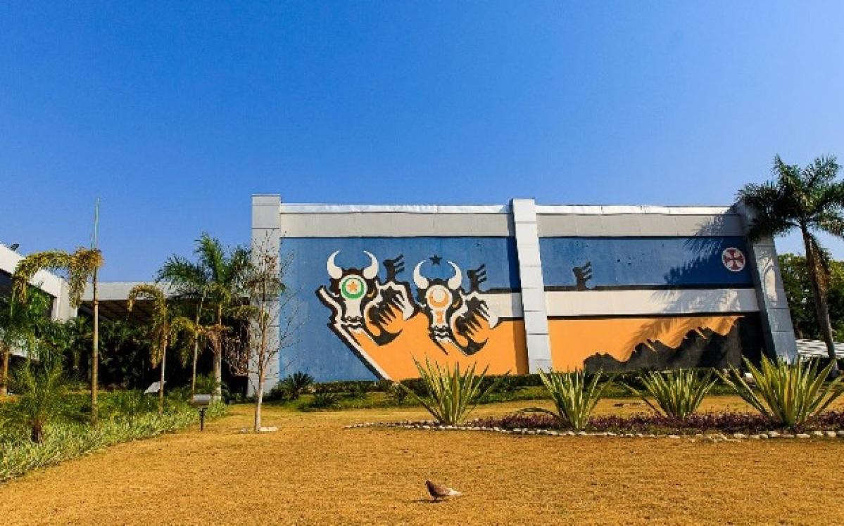 Multa contra agressores de mulheres pode chegar a R$ 1,8 milhão em MT