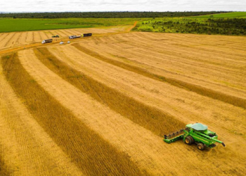 Com 51, 6 milhões de toneladas de soja, Mato Grosso registra recorde de produção e mantém liderança nacional