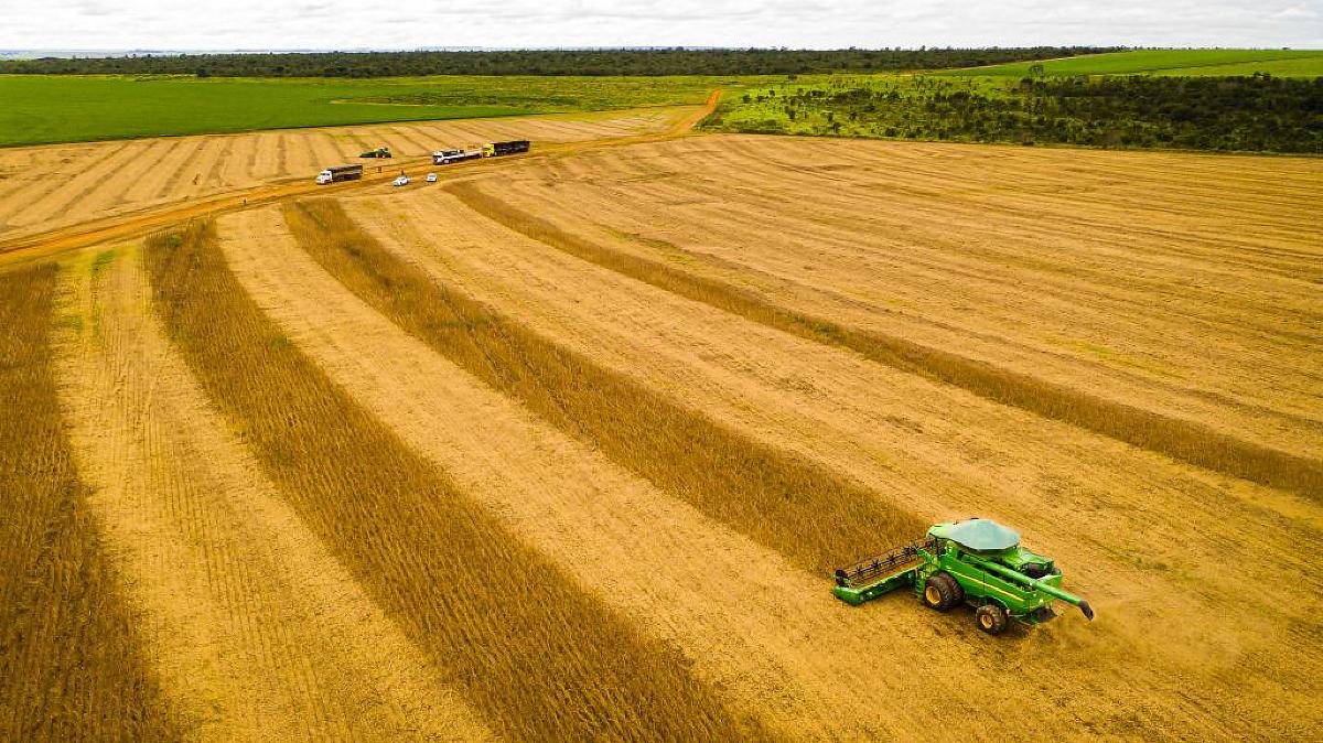 Com 51, 6 milhões de toneladas de soja, Mato Grosso registra recorde de produção e mantém liderança nacional