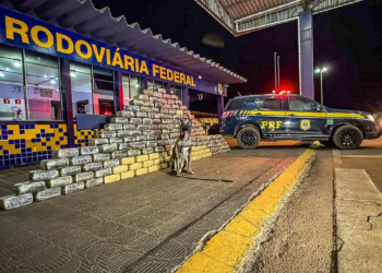 PRF apreende meia tonelada de supermaconha em fundo falso de caminhão na BR-364 em Rondonópolis