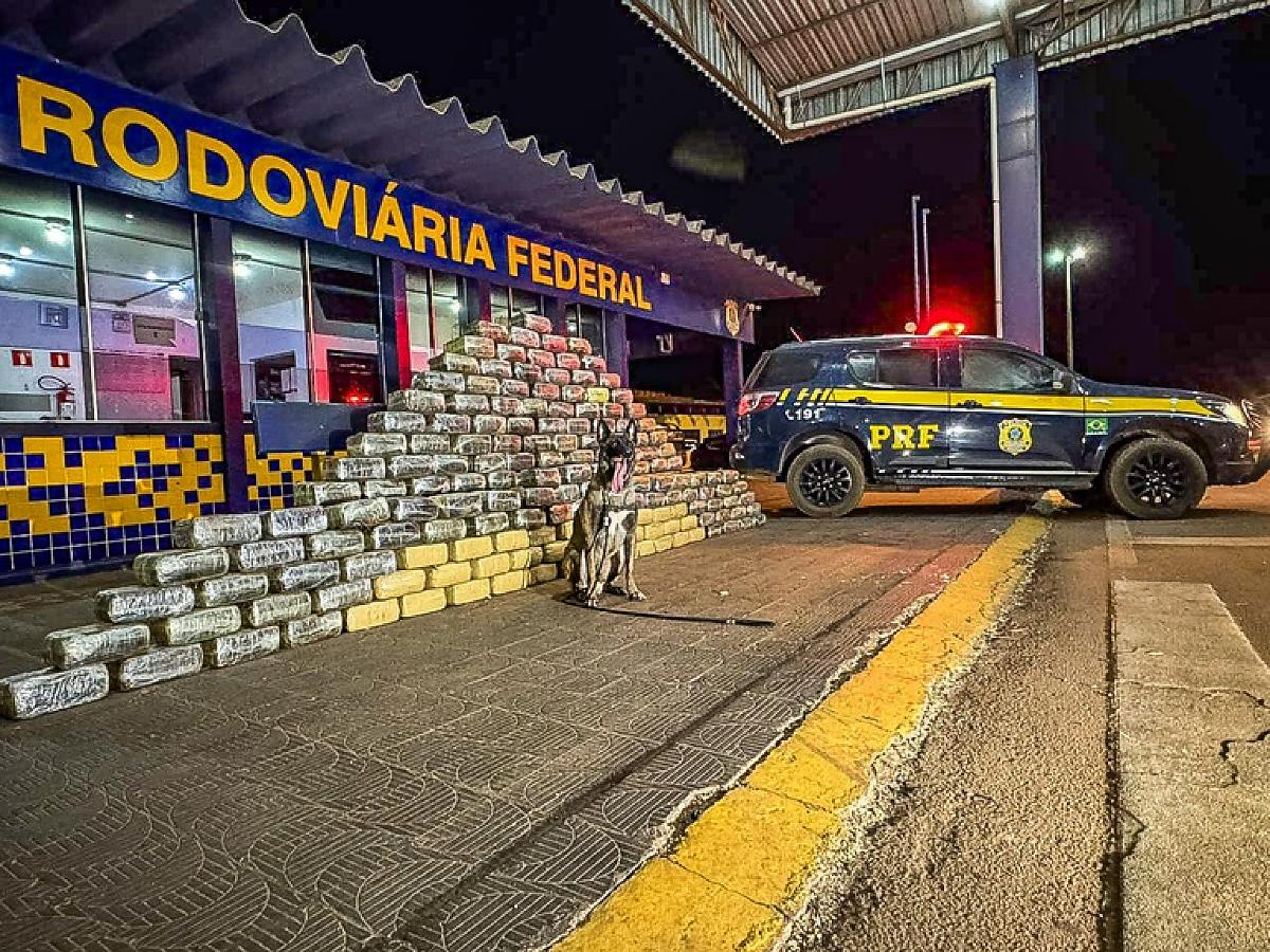 PRF apreende meia tonelada de supermaconha em fundo falso de caminhão na BR-364 em Rondonópolis