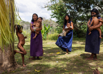 Documentário da Folha mostra como a Transamazônica impacta indígenas que vivem crises sucessivas