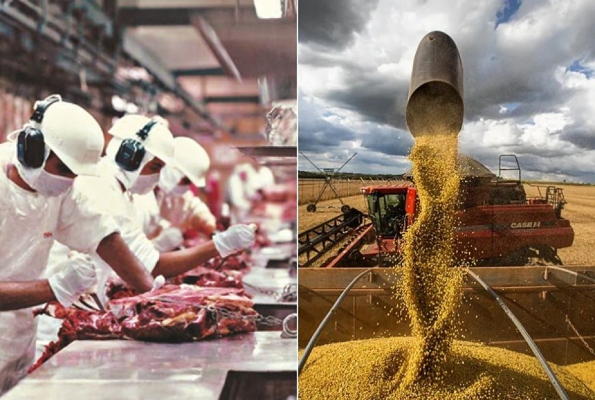 Carne e óleo de soja faz indústria de Mato Grosso disparar e alcançar o 2º lugar do país