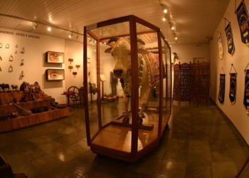 Museu em Uberaba exibe história do gado zebu e memórias ferroviárias
