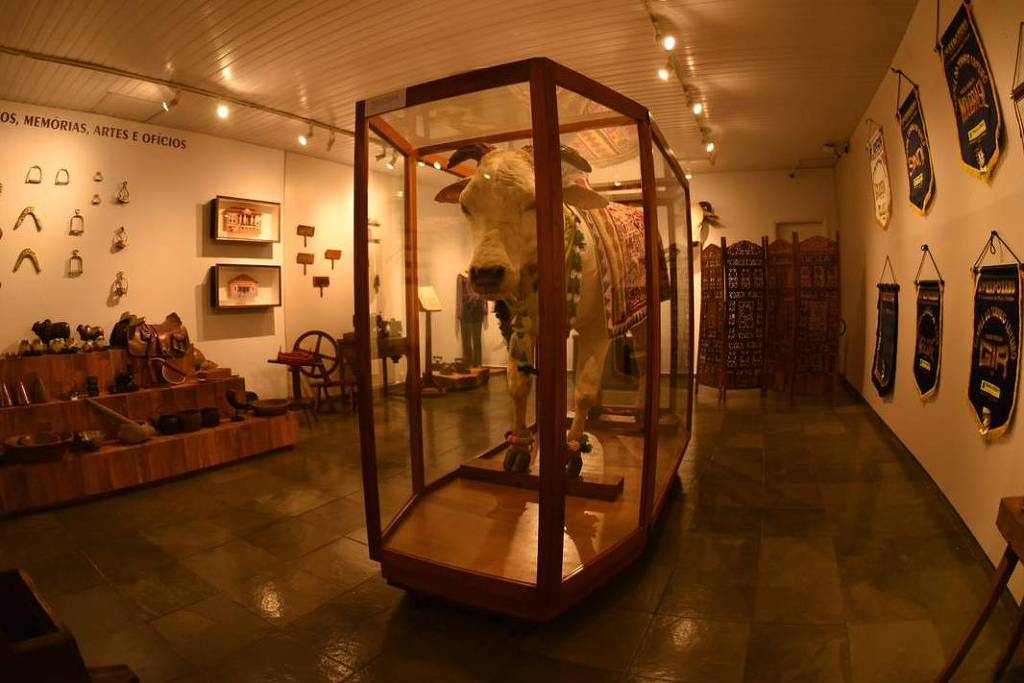 Museu em Uberaba exibe história do gado zebu e memórias ferroviárias