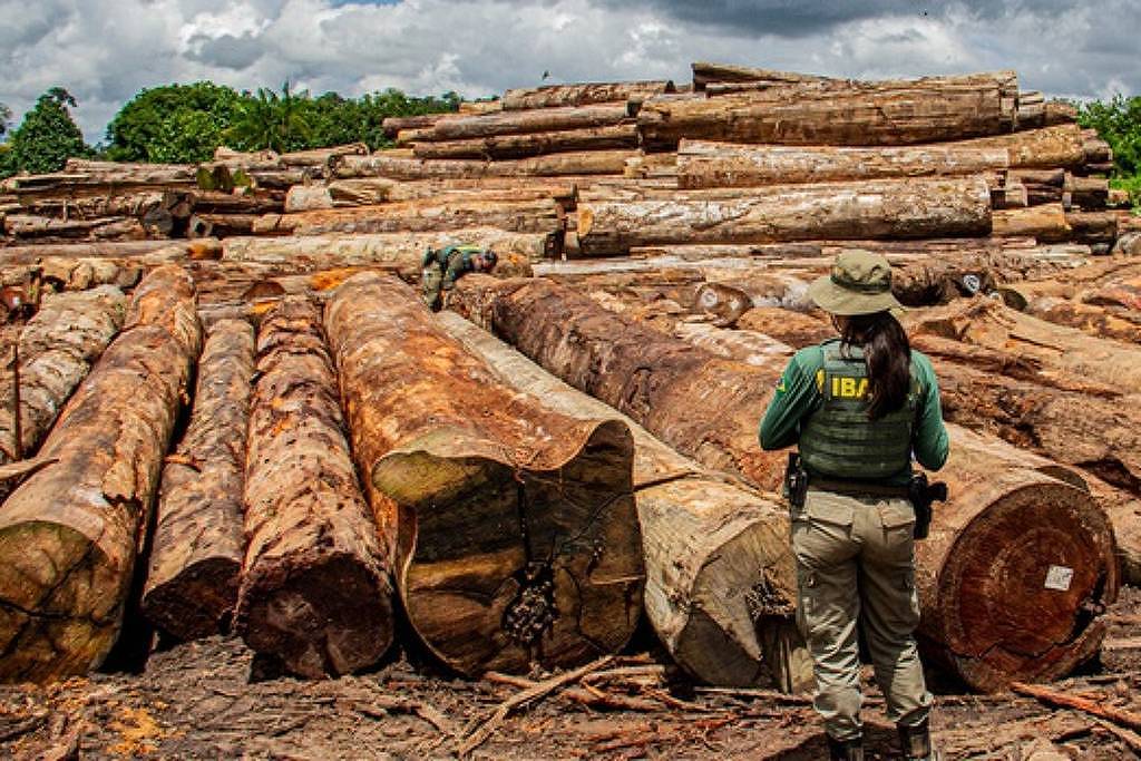 Projeto que limita fiscalização do Ibama contra desmatamento ilegal é aprovado na Câmara