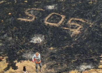 Marinheiro náufrago de 67 anos é resgatado durante incêndio em ilha isolada nos EUA; veja o VÍDEO