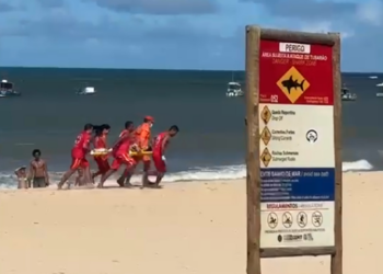 Brasil está entre países com mais casos de ataques de tubarão; veja ranking