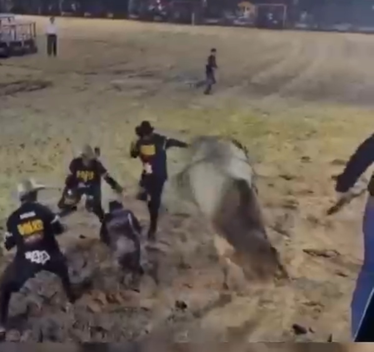Por centímetros, peão escapa de ser pisoteado por touro durante rodeio; vídeo