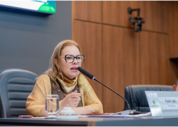 Irmã de Faissal, Paula Calil sai em defesa e diz que deputado é vítima de perseguição política