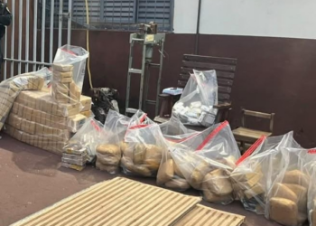 Polícia encontra 251 tabletes de maconha e pasta base em fundo falso de caminhão em MT