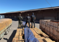 Operação em Cáceres e Corumbá investiga carga de madeira com até 50 toneladas de cocaína; vídeo