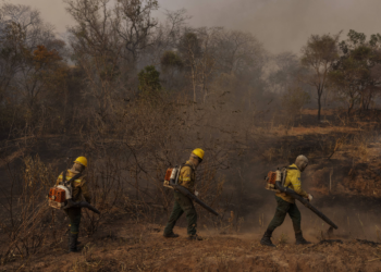 Governo Lula avalia verba extra contra El Niño e mapeia risco de eleições impulsionarem incêndios