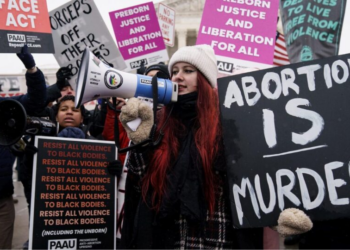 Aborto legal até o nascimento: a nova plataforma do lobby pró-morte