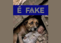 É #FAKE foto de cachorro protegendo bebê em terremoto na Venezuela; imagem foi criada com inteligência artificial